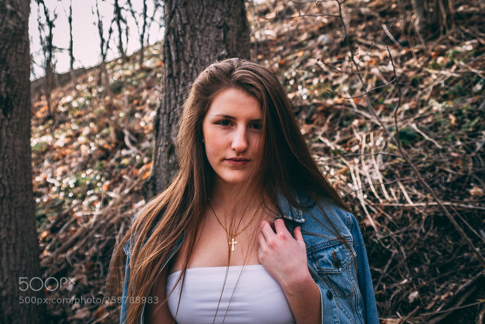 Canon EOS 7D sample photo. Lost photography