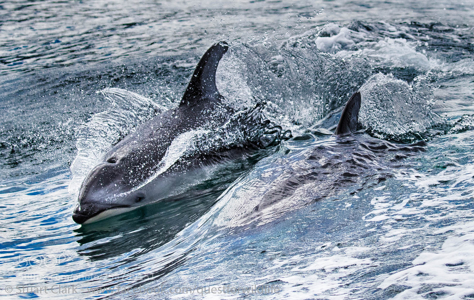 Canon EOS-1D X Mark II sample photo. Pacific surf photography