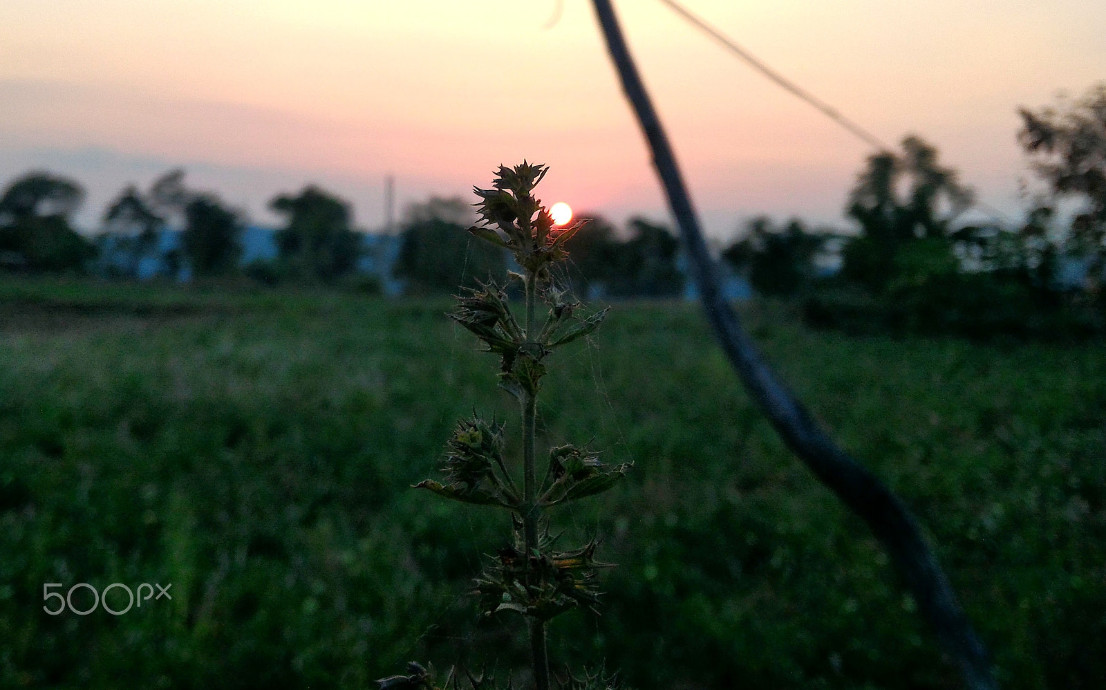 ASUS ZenFone 2 (ZE551ML) sample photo. Sunset photography