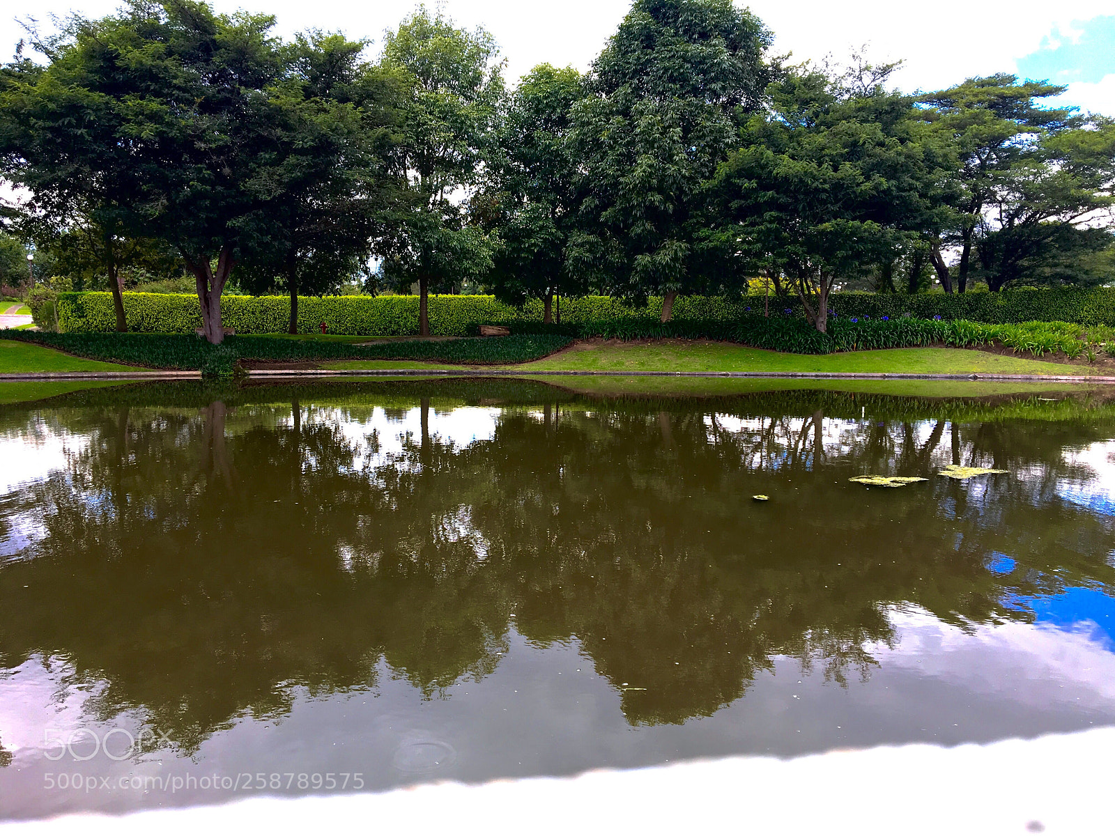 Apple iPhone 6s sample photo. Untitled photography
