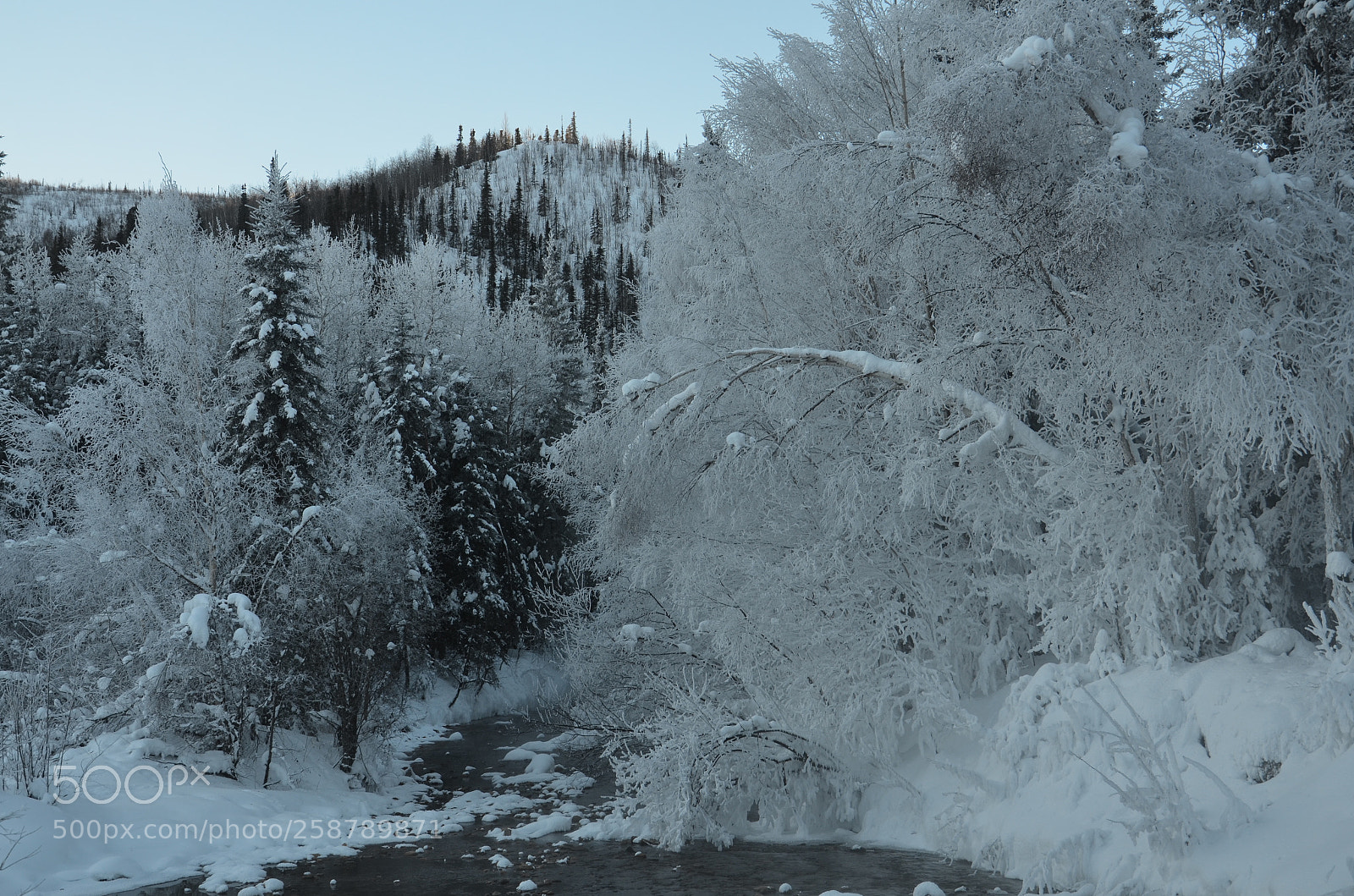 Nikon D7000 sample photo. Chena hot springs (ak) photography