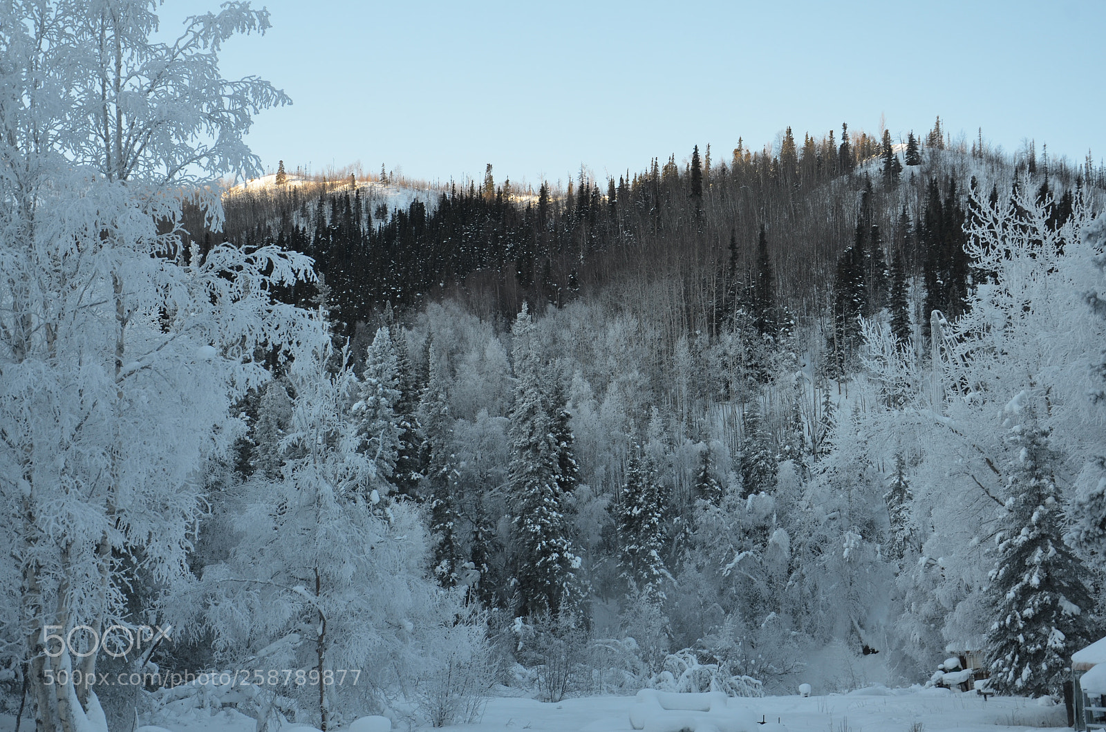 Nikon D7000 sample photo. Chena hot springs (ak) photography