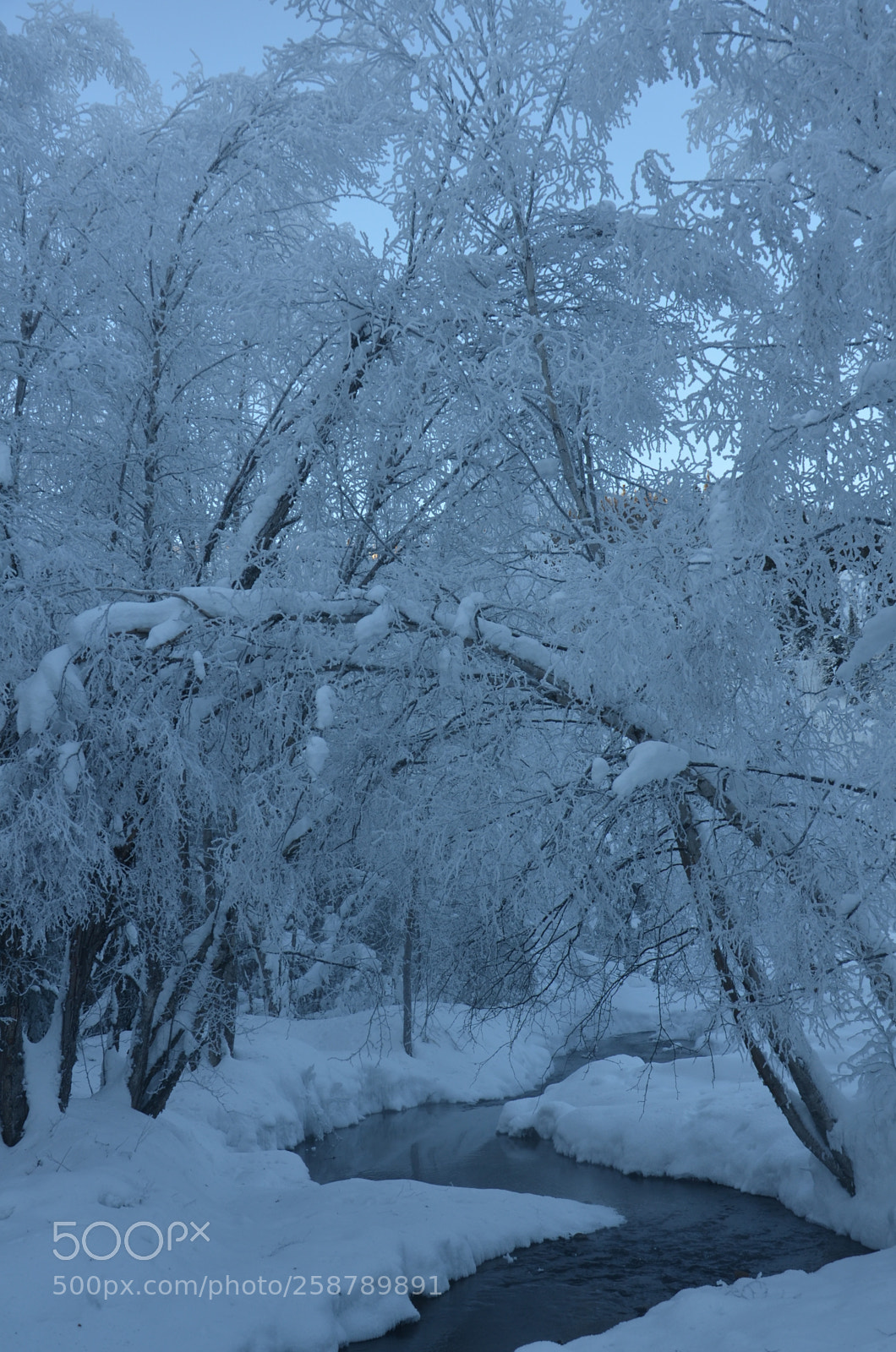 Nikon D7000 sample photo. Chena hot springs (ak) photography