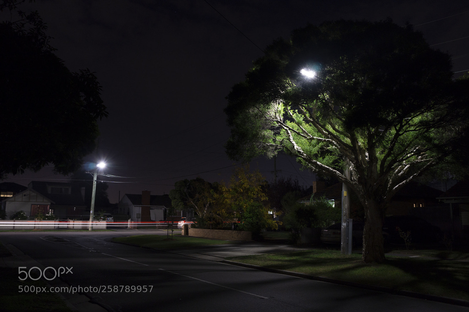 Sony a5100 sample photo. Darling street photography