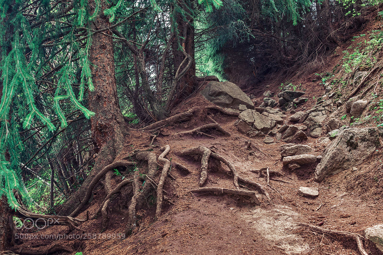 Nikon D5300 sample photo. Fantastic landscape in mountains photography