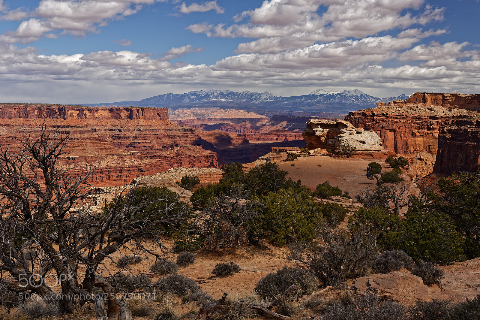 Canon EOS 6D sample photo. Canyonlands national park photography