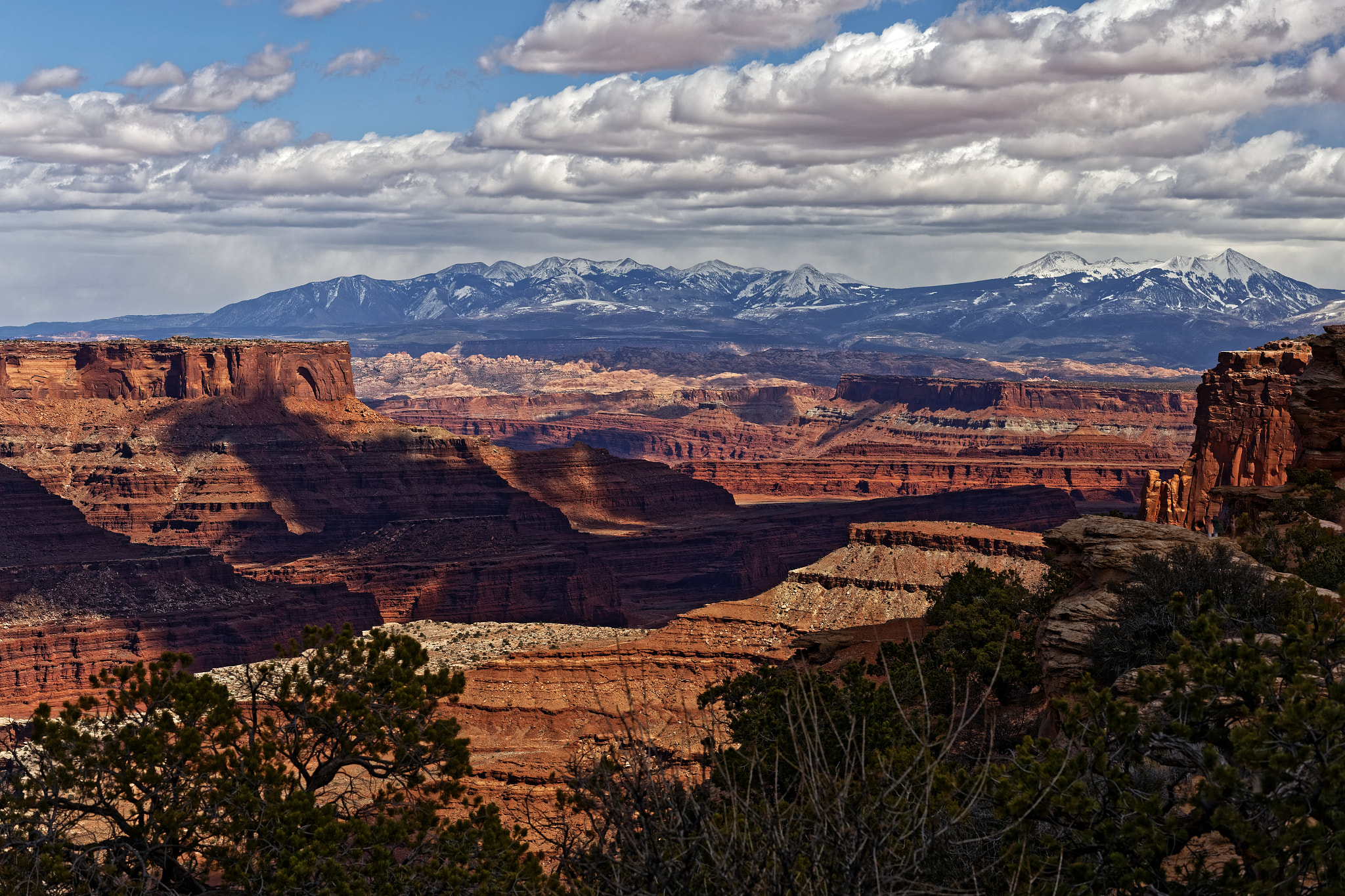 Canon EOS 6D + Zeiss Milvus 85mm f/1.4 sample photo. Canyonlands national park photography