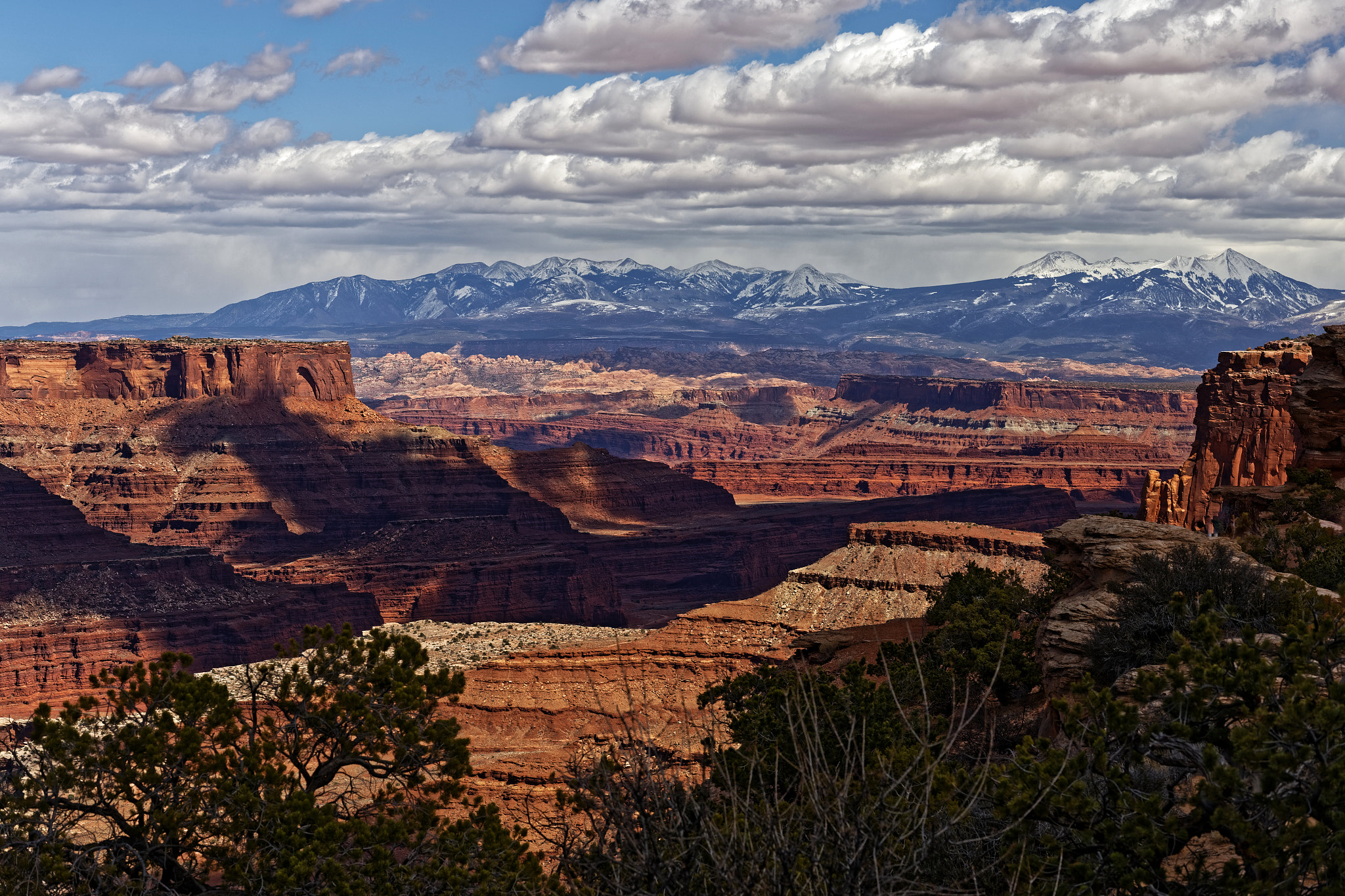 Zeiss Milvus 85mm f/1.4 sample photo. Canyonlands national park photography