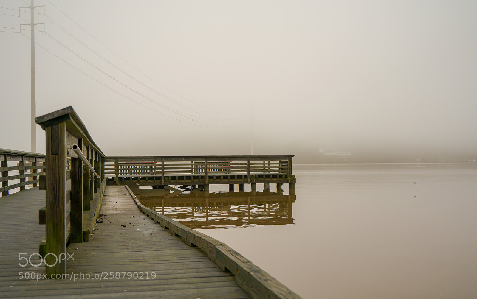 Sony a7R II sample photo. Dsc photography