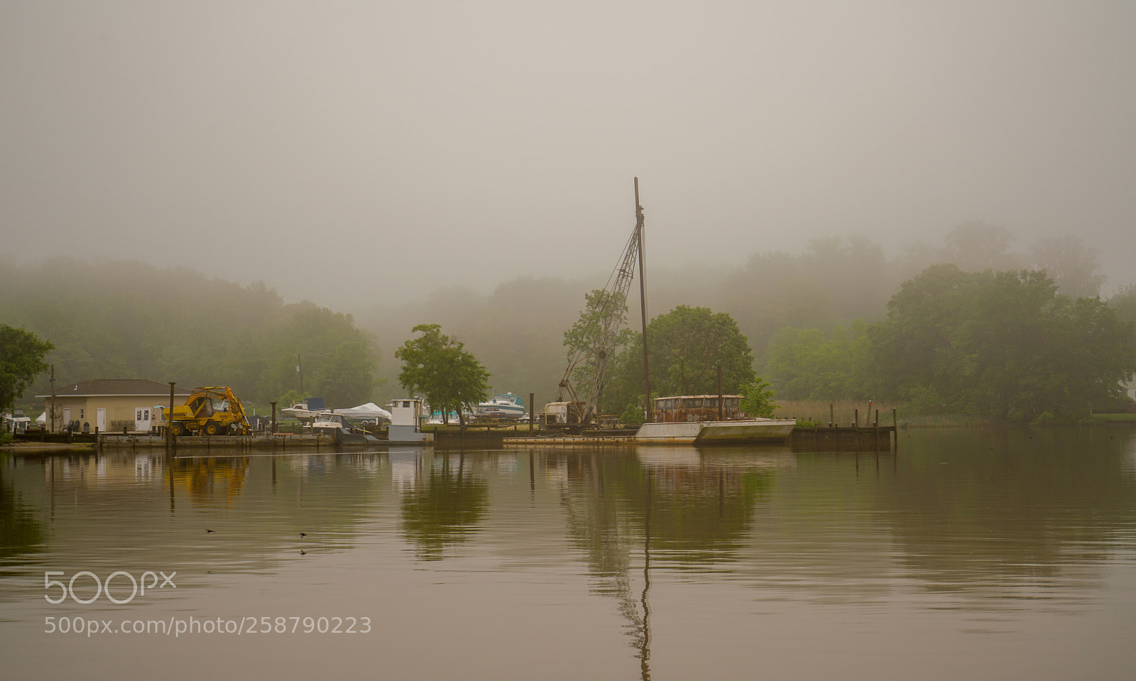 Sony a7R II sample photo. Dsc photography