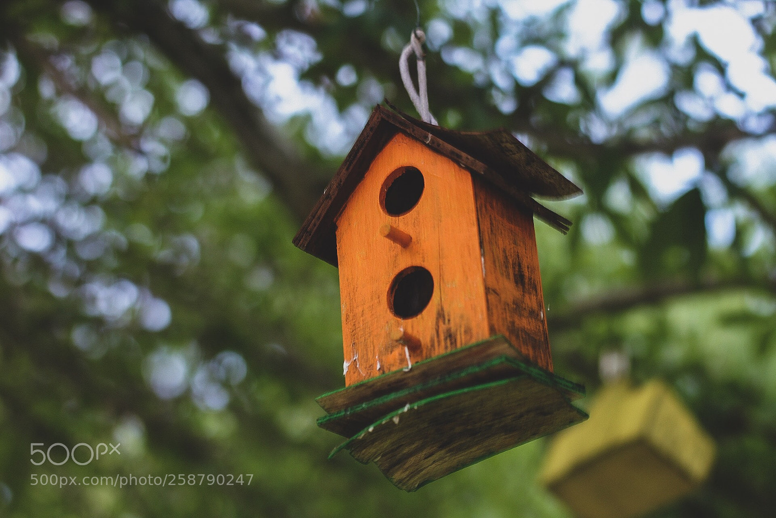 Canon EOS 1300D (EOS Rebel T6 / EOS Kiss X80) sample photo. Anyone home  photography