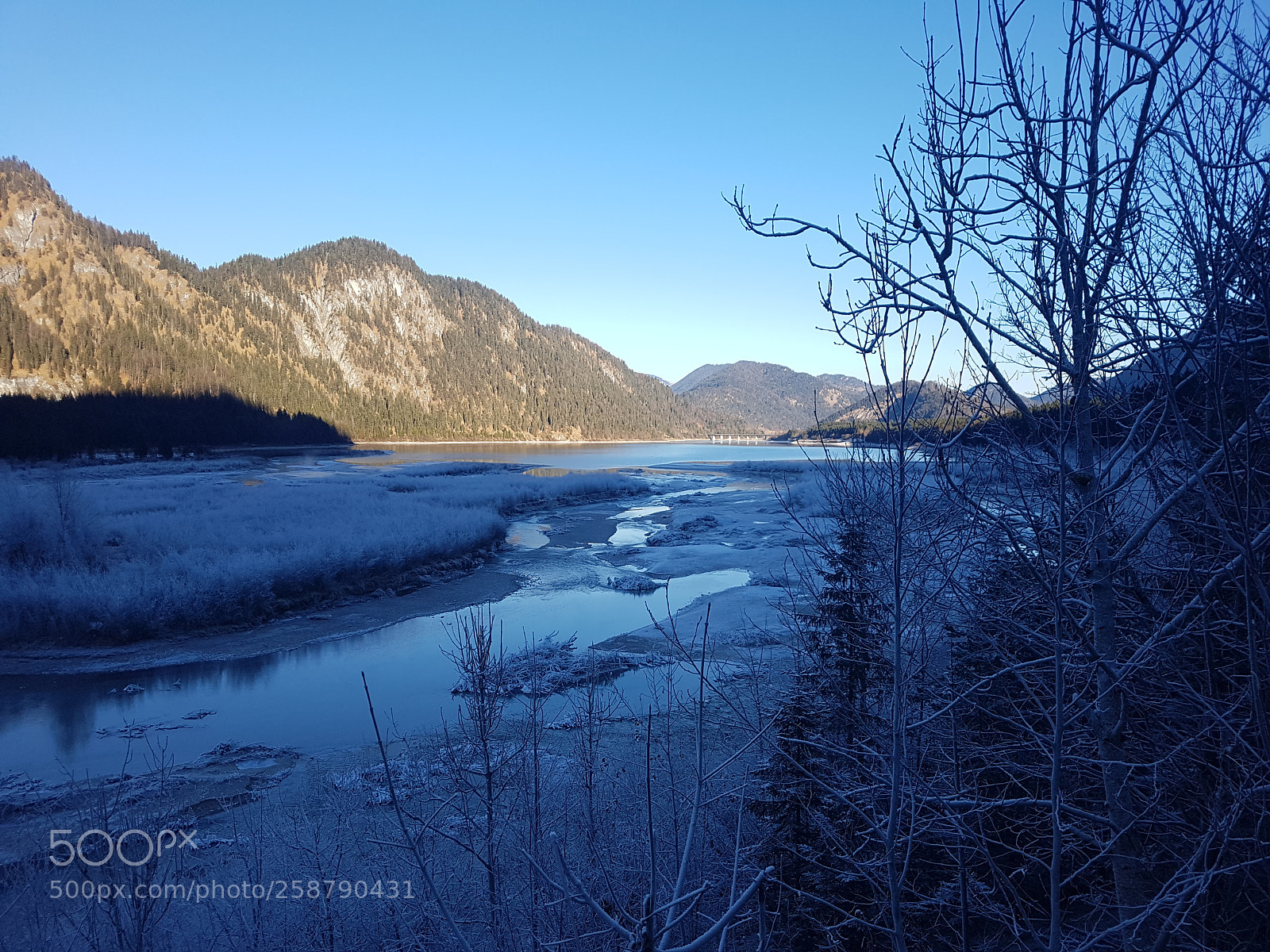 Samsung Galaxy S7 sample photo. 20170101_142232.jpg photography