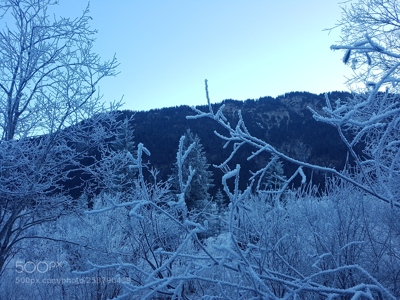 Samsung Galaxy S7 sample photo. 20170101_150822.jpg photography