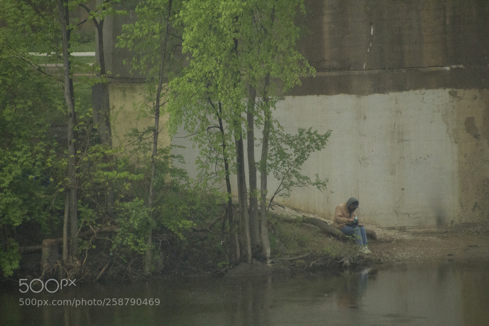 Canon EOS 1200D (EOS Rebel T5 / EOS Kiss X70 / EOS Hi) sample photo. Sheltering under a bridge. photography