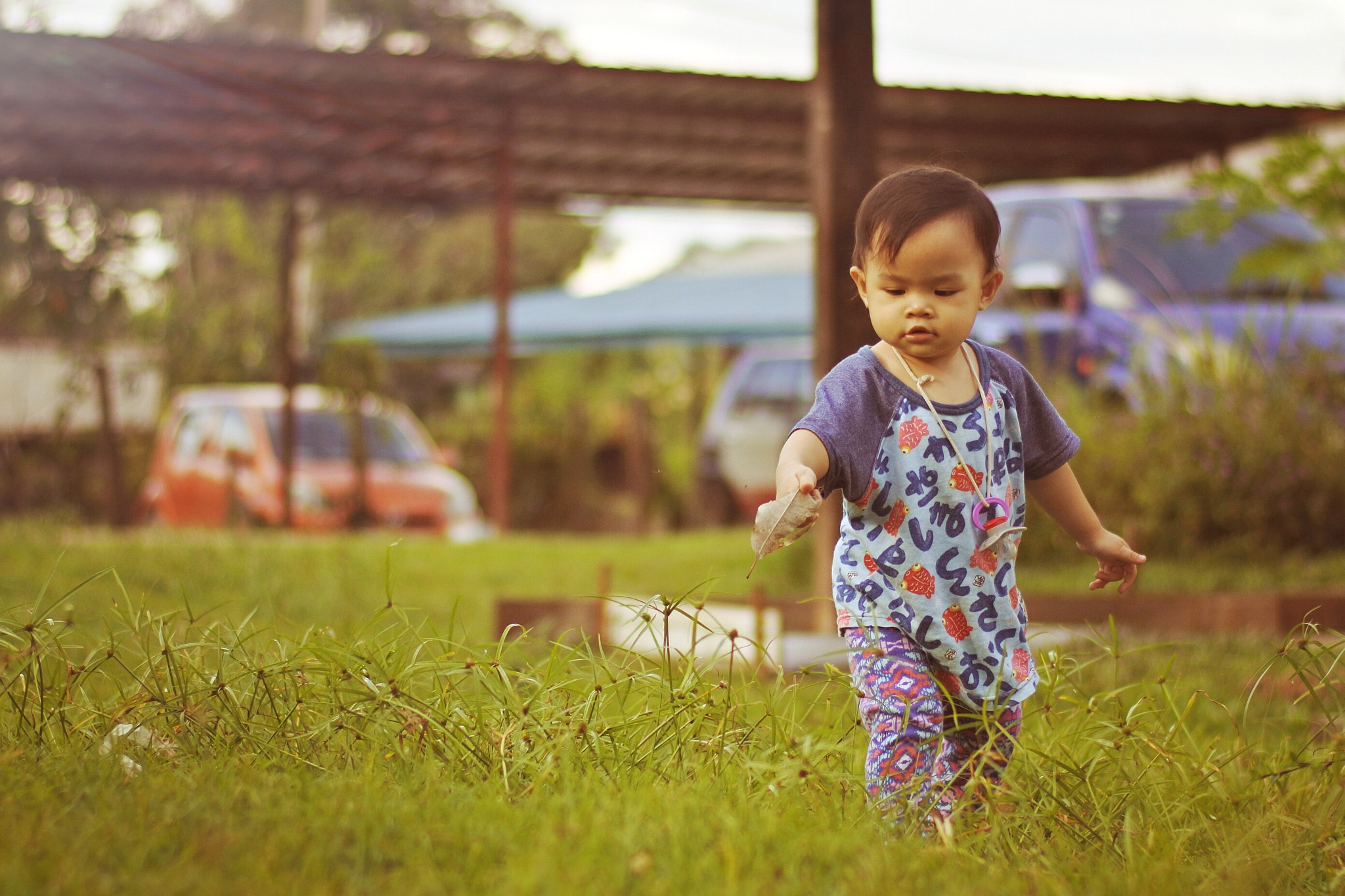 Nikon 1 J5 sample photo. Take it for me photography