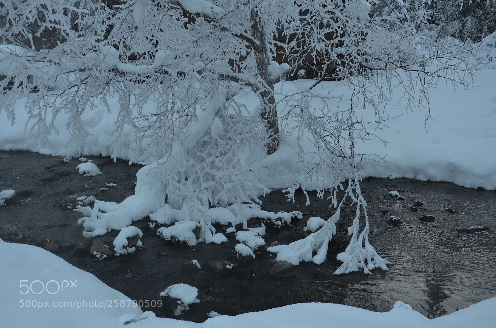 Nikon D7000 sample photo. Chena hot springs (ak) photography