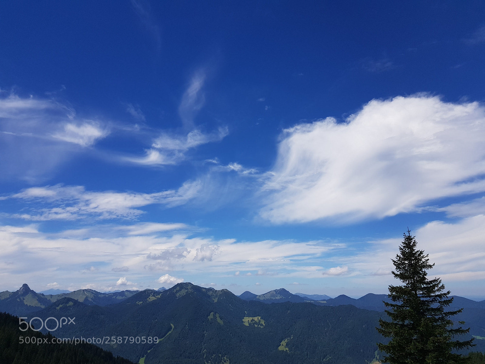 Samsung Galaxy S8+ sample photo. 20170729_130654.jpg photography