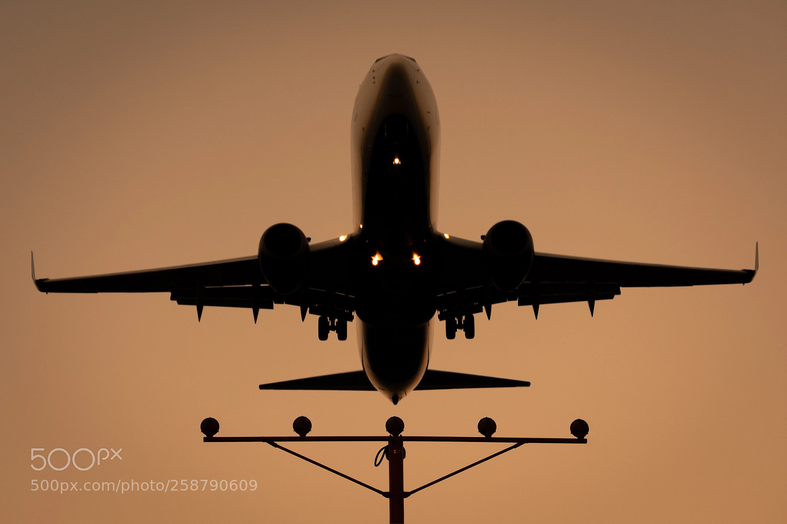 Nikon D3400 sample photo. Evening arrival photography