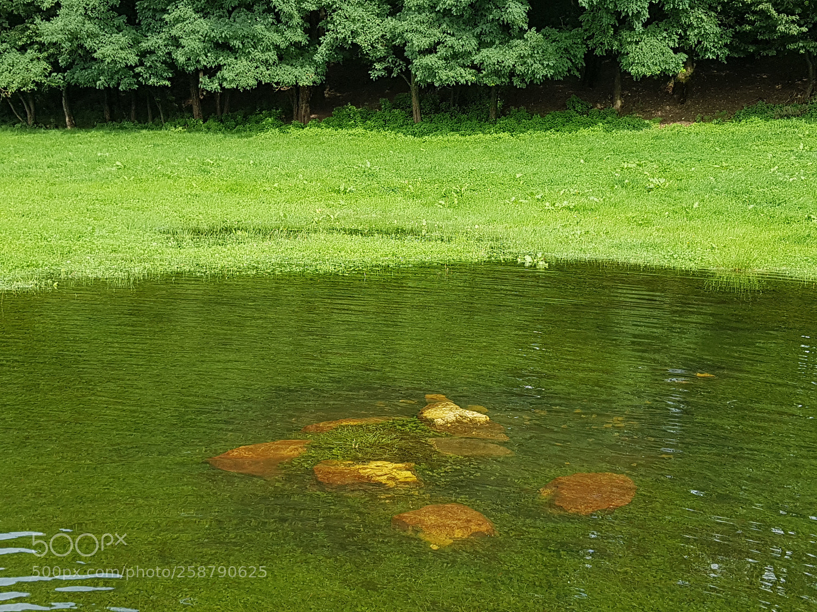 Samsung Galaxy S8+ sample photo. 20170902_153753.jpg photography