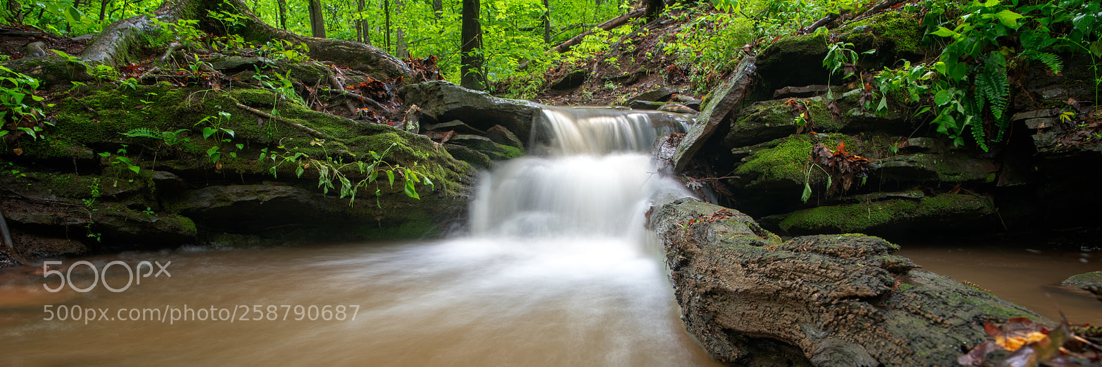Nikon D850 sample photo. Rain-enhanced cascade photography