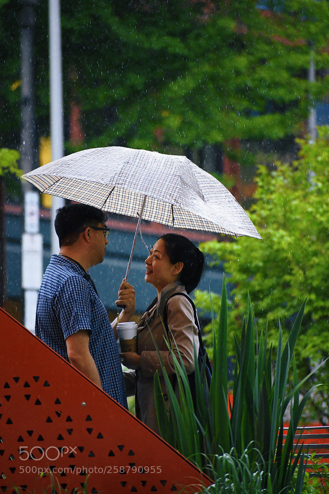 Nikon D850 sample photo. The way you look photography