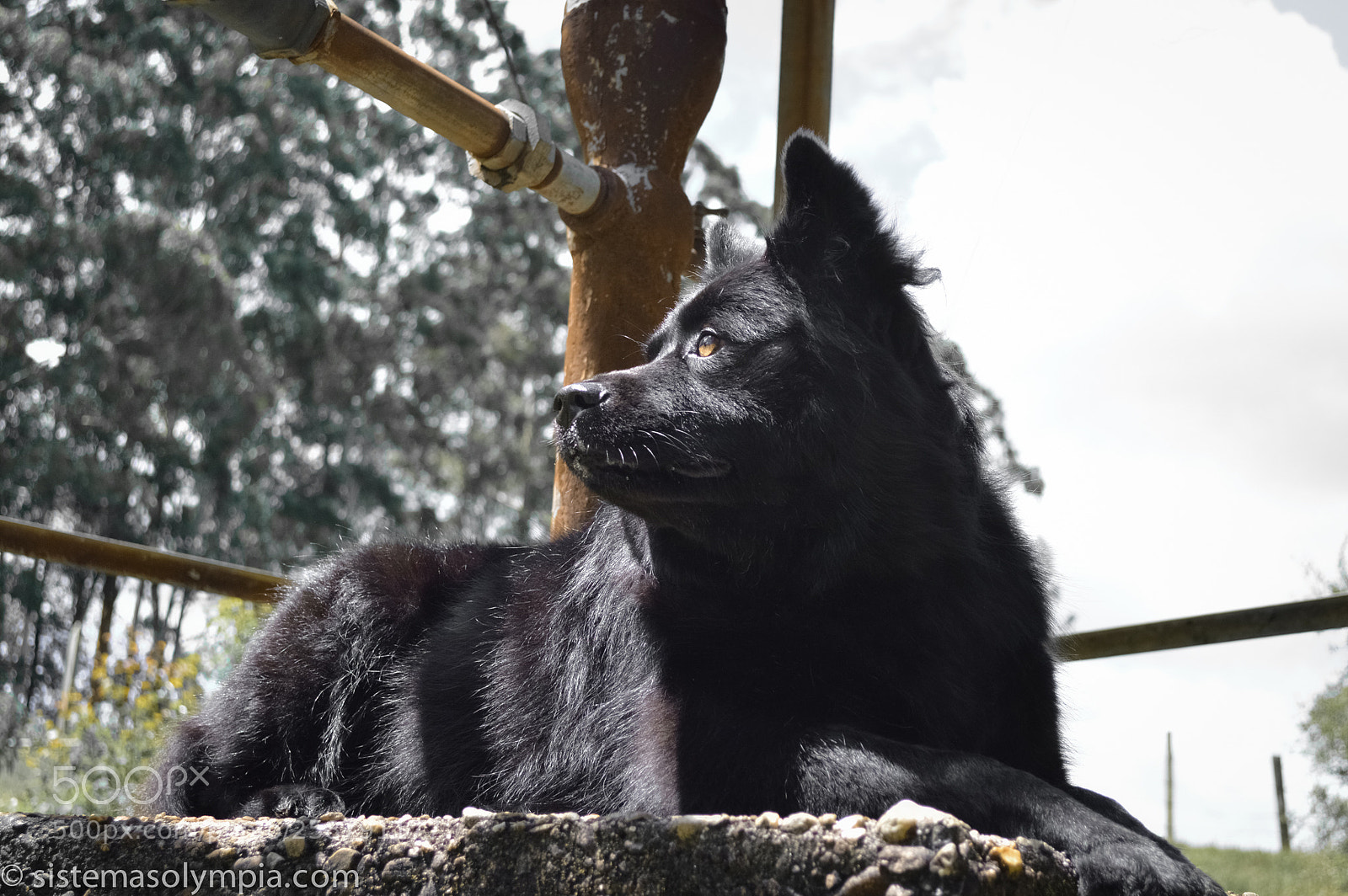 Nikon D3200 sample photo. Frigga photography