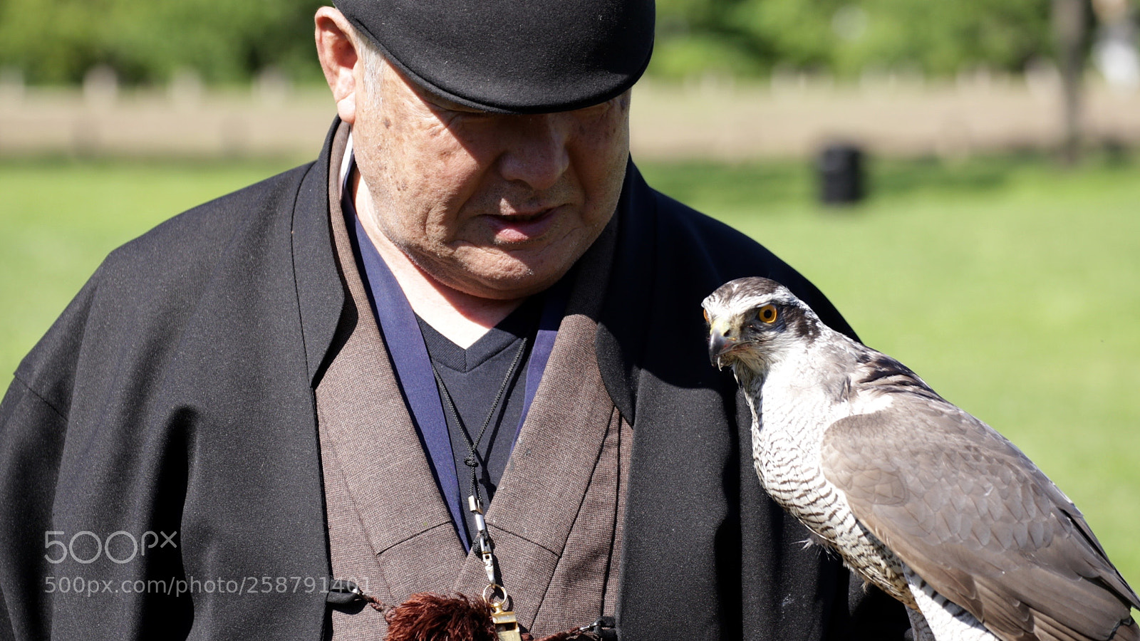 Canon EOS 6D sample photo. Spiritual connection with hawk photography