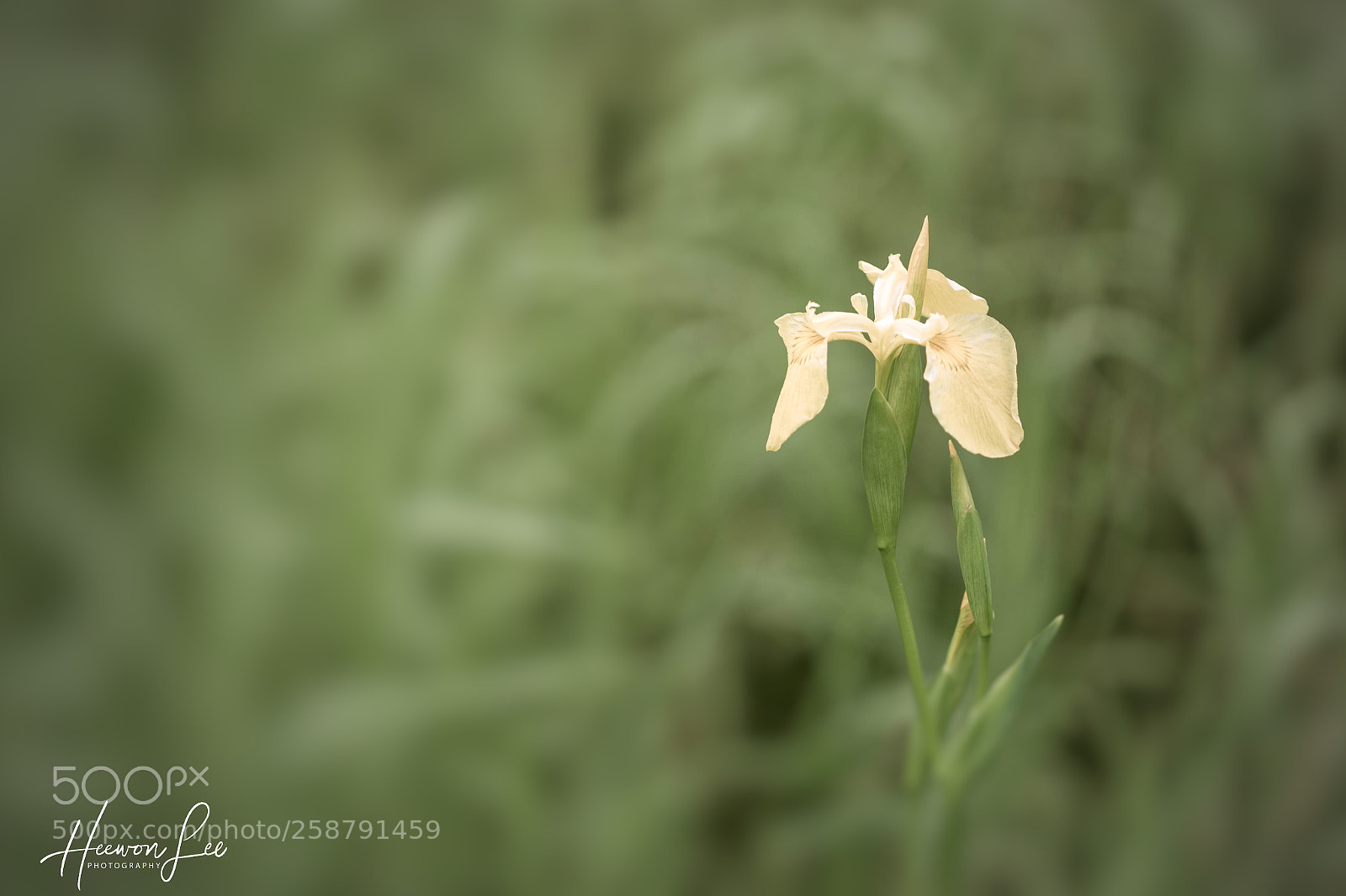 Canon EOS 6D sample photo. ᵂᴴᴱᴺ ᴵ ᴹᴱᵀ ᵞᴼᵁ.. photography