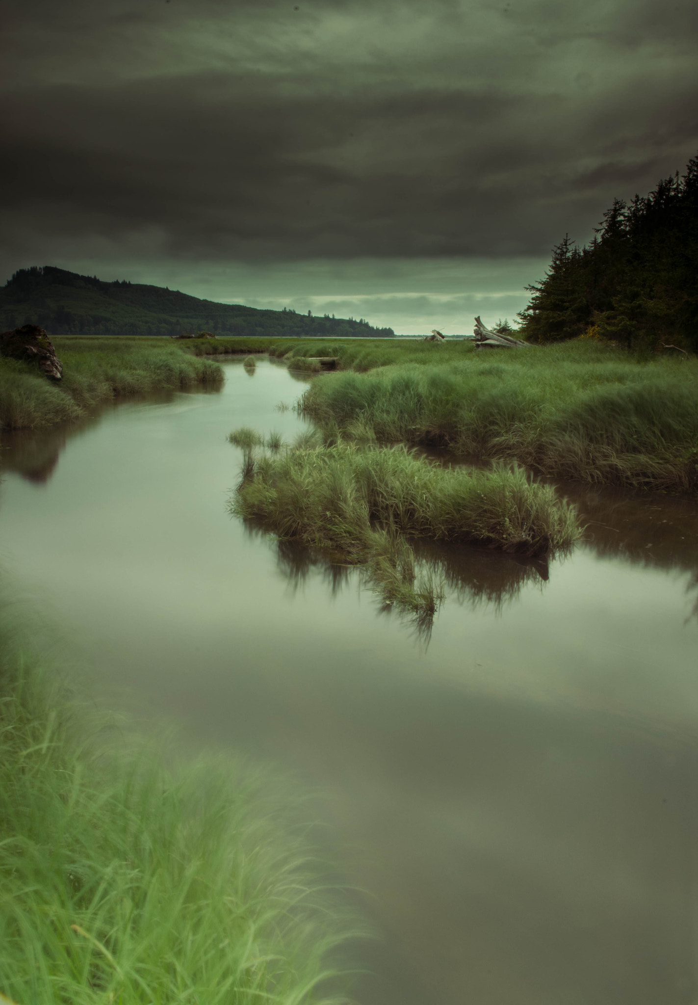 Pentax K-5 II sample photo. Nehalem pointe photography