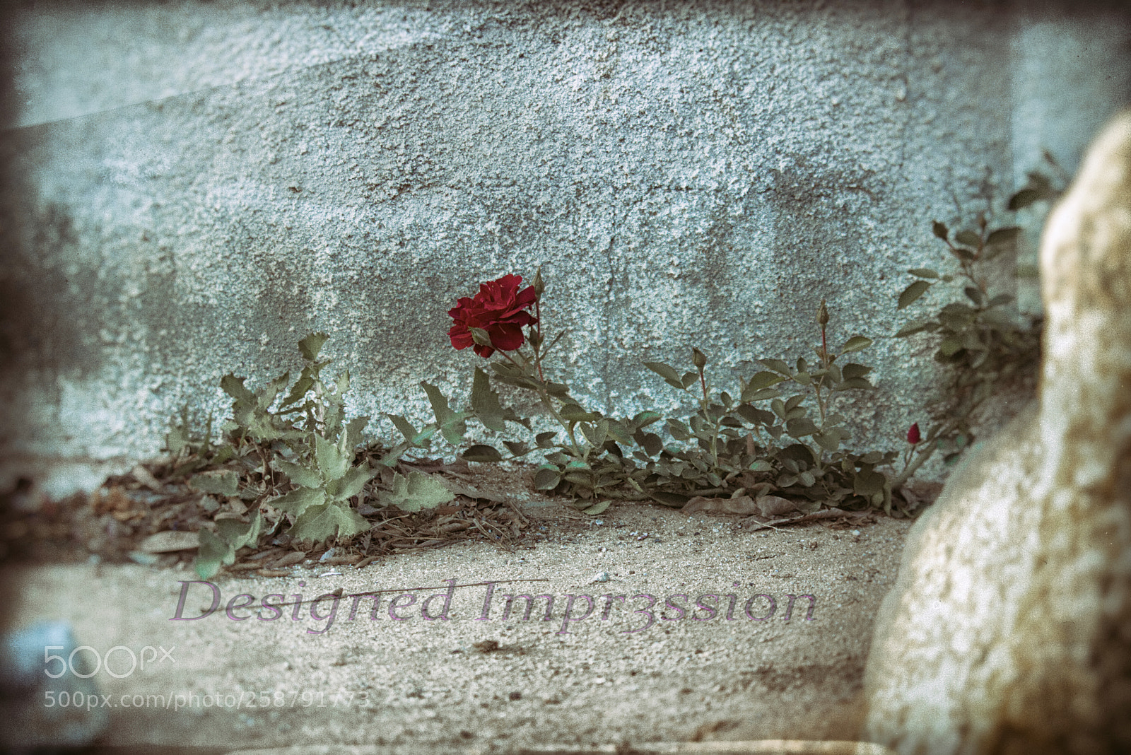Canon EOS 750D (EOS Rebel T6i / EOS Kiss X8i) sample photo. She stands alone. photography