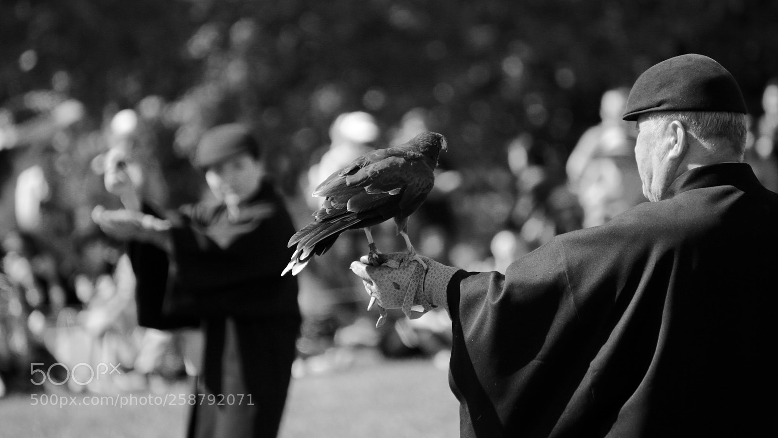 Canon EOS 6D sample photo. Master falconer photography