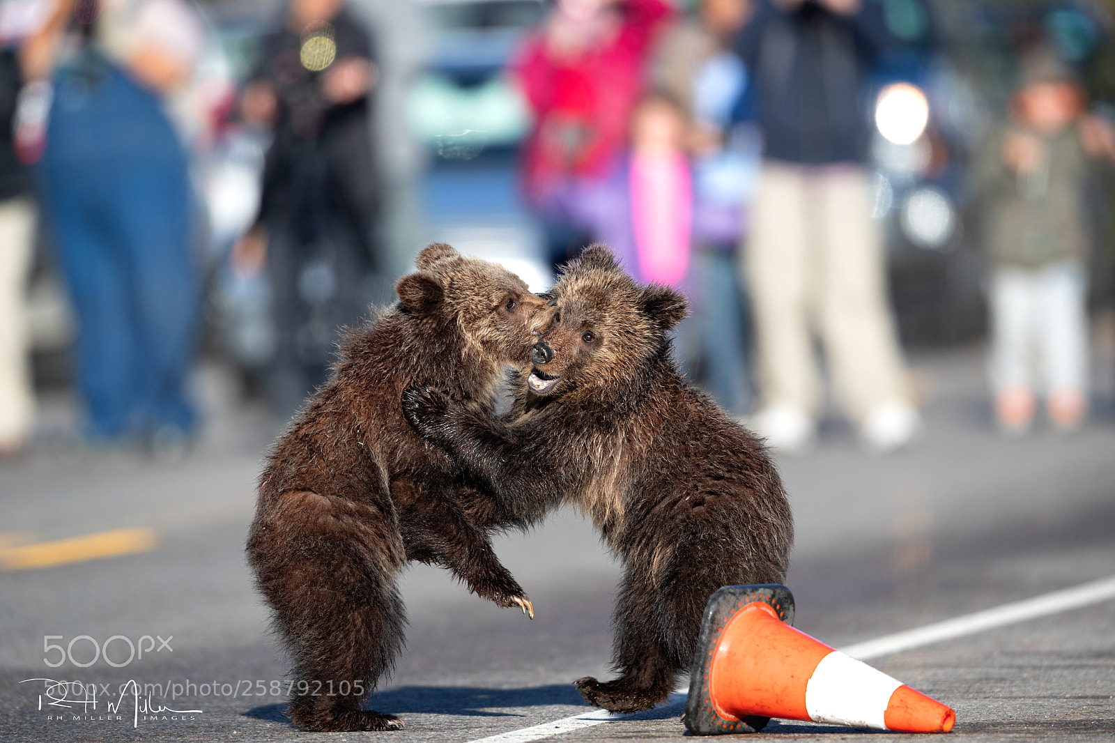 Canon EOS-1D X Mark II sample photo. People pictures photography
