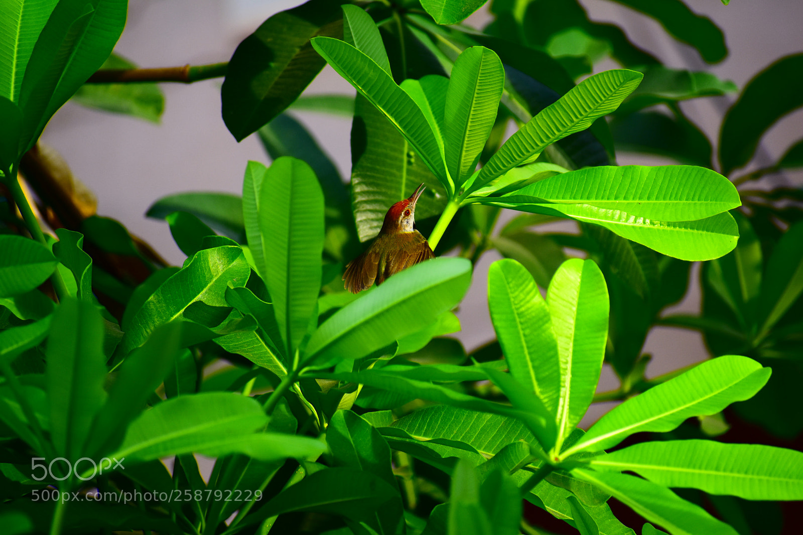 Nikon D3400 sample photo. #smallwonder photography
