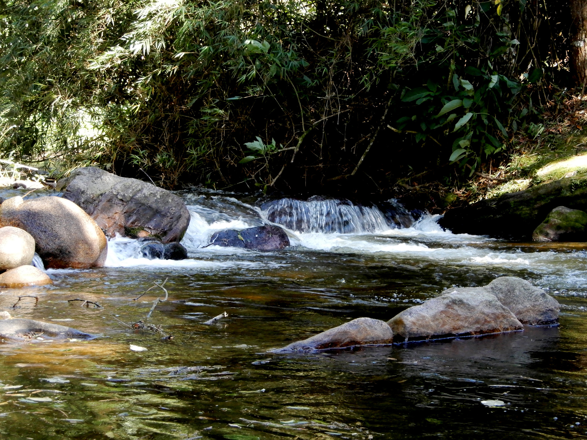 Nikon Coolpix A900 sample photo. Black river photography