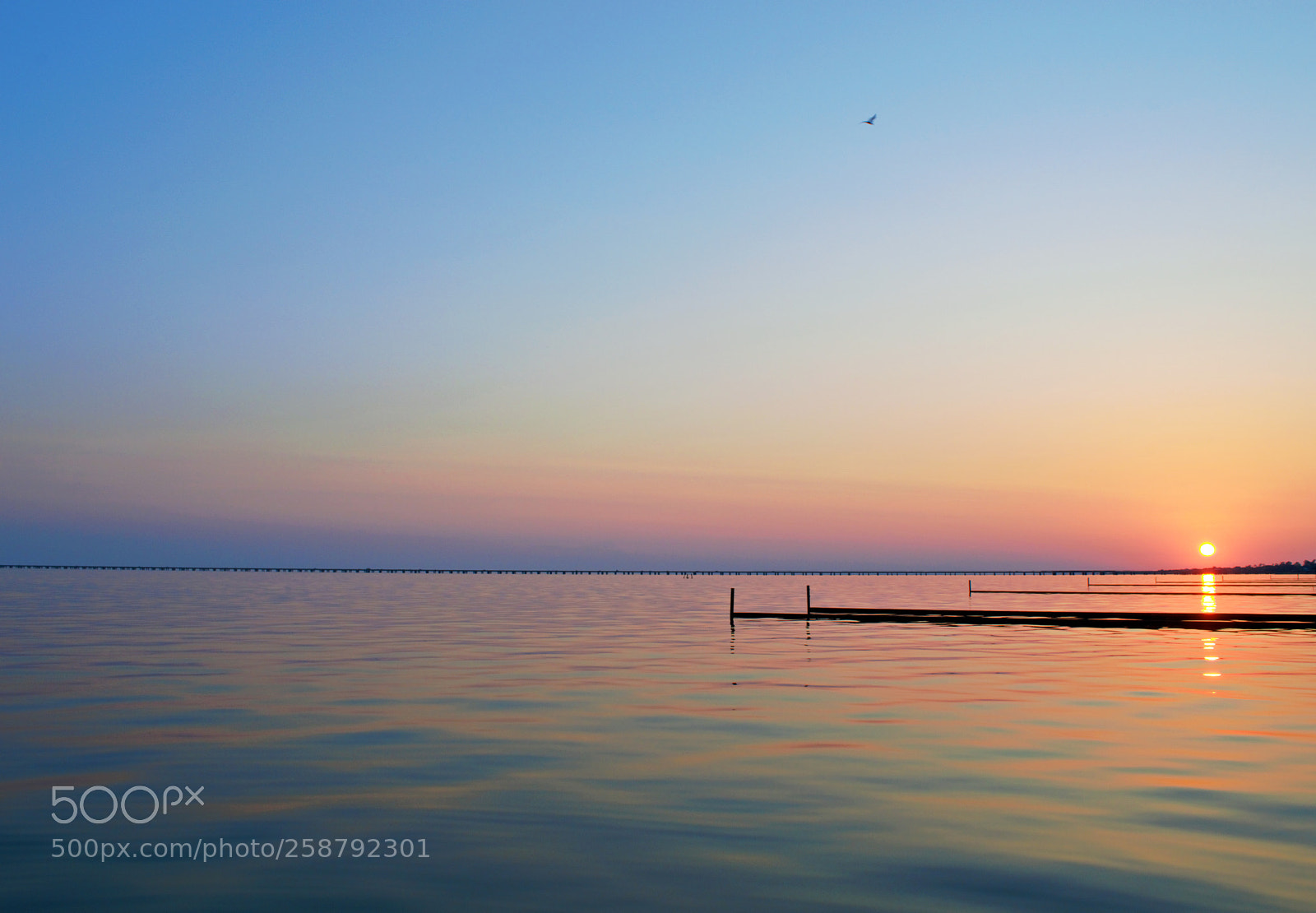 Nikon D3200 sample photo. Sunset magic colors photography
