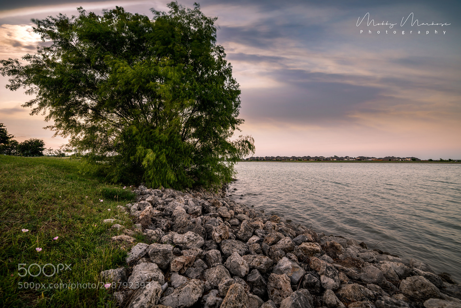 Nikon D750 sample photo. A sunset at pflugerville photography