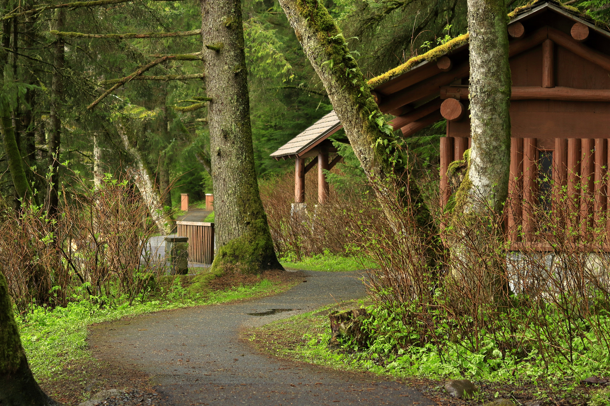 Canon EOS 7D Mark II + Canon EF 70-200mm F4L IS USM sample photo. Morning walk photography