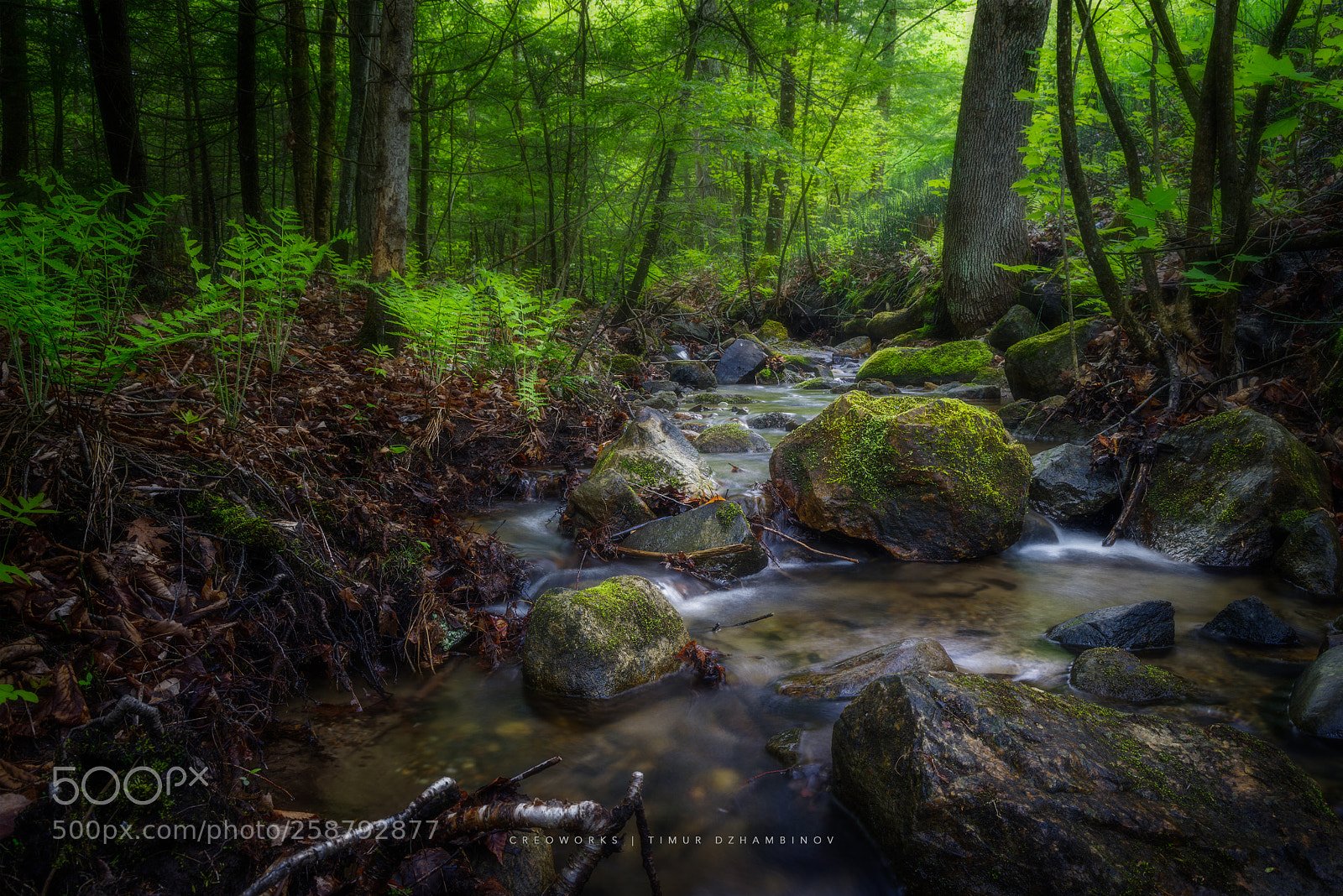 Pentax K-1 sample photo. Creek photography