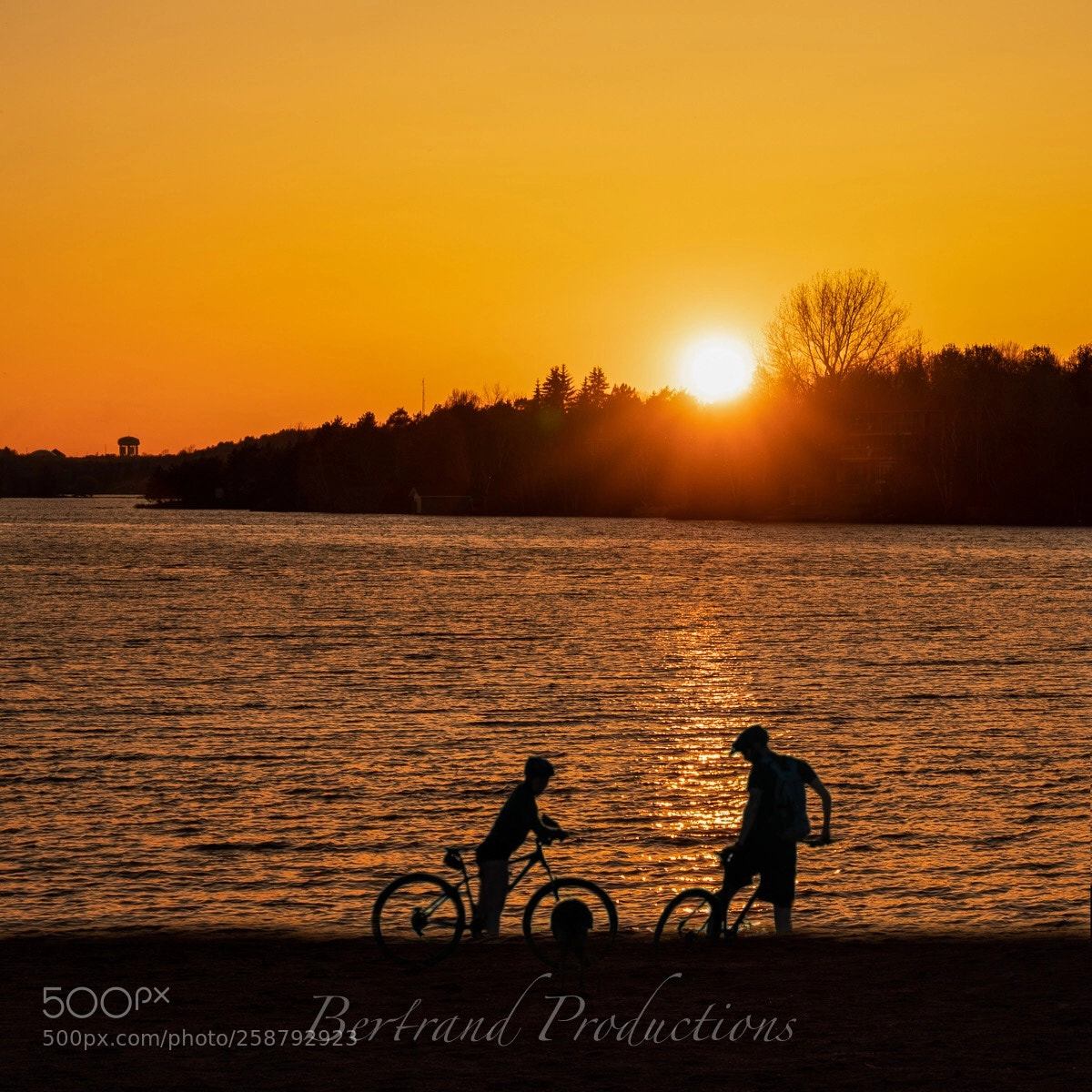 Sony a7R III sample photo. Sunset sexiness  photography