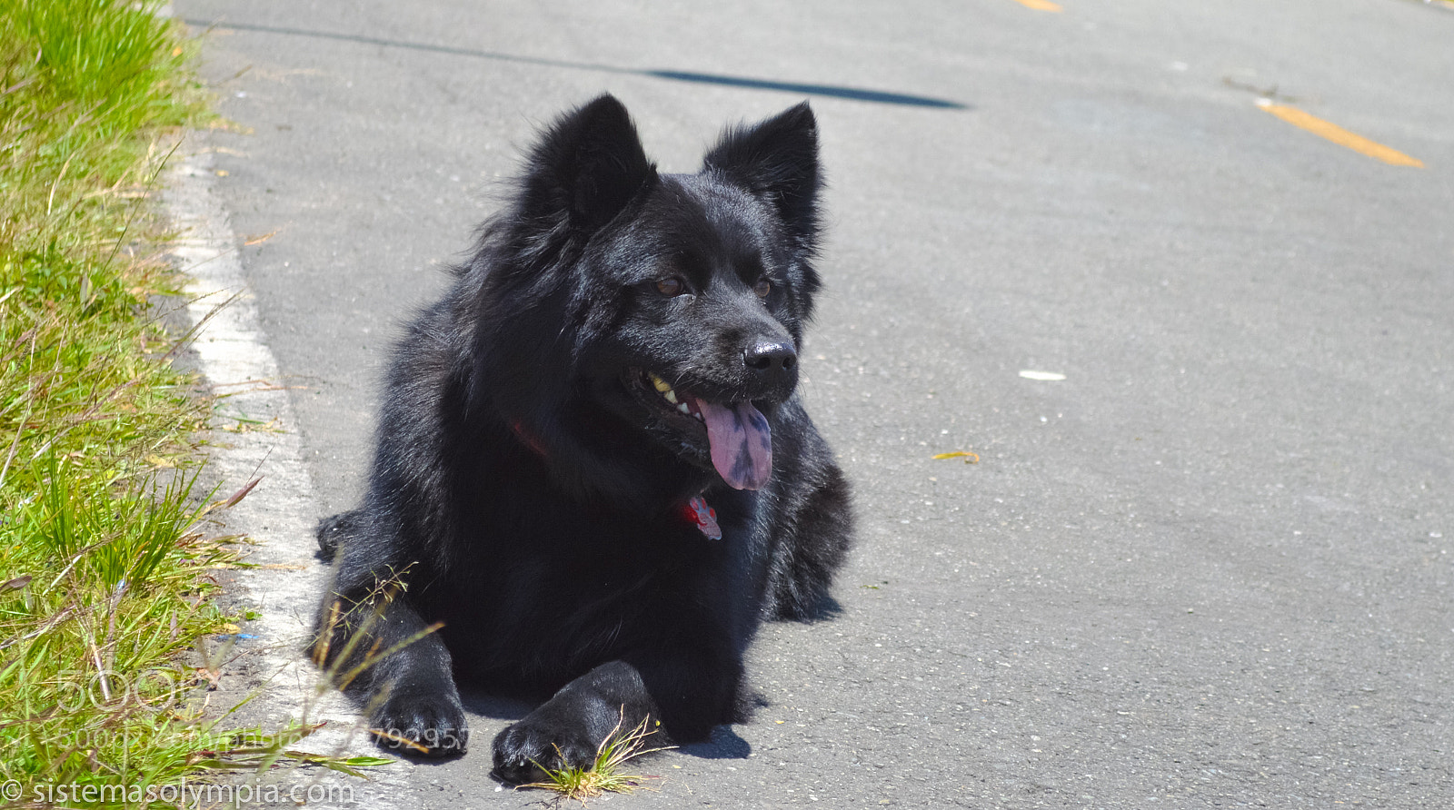 Nikon D3200 sample photo. Frigga photography