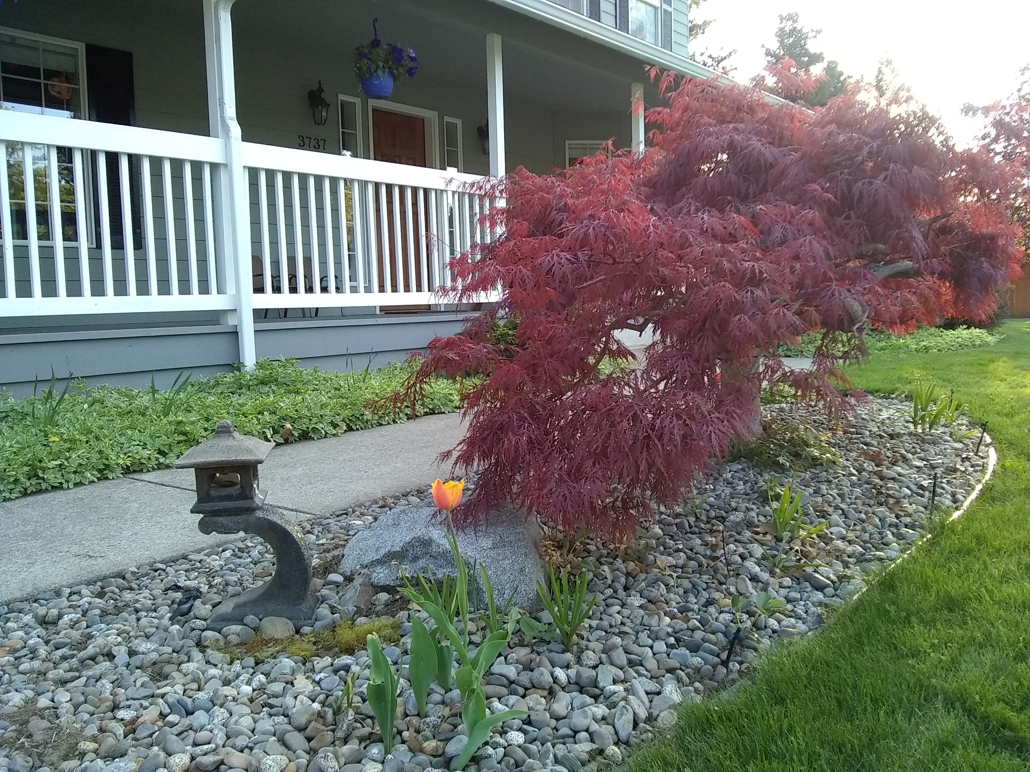 Motorola Moto E4 sample photo