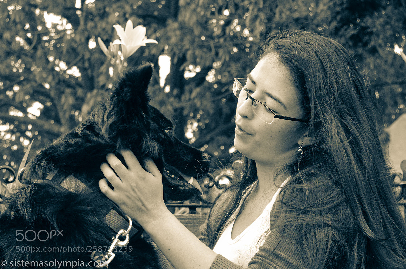 Nikon D3200 sample photo. Frigga photography