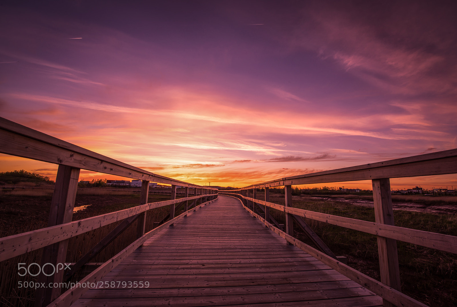 Nikon D810 sample photo. Moncton sunset photography