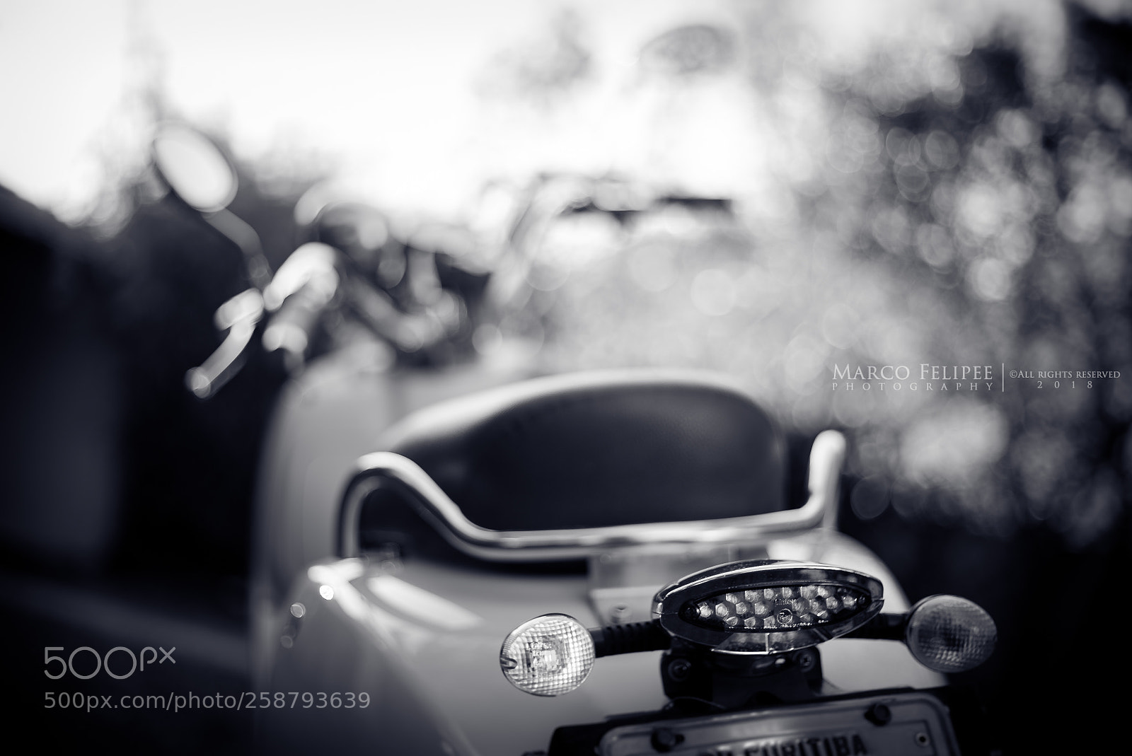Sony a7S II sample photo. Noir #112 photography
