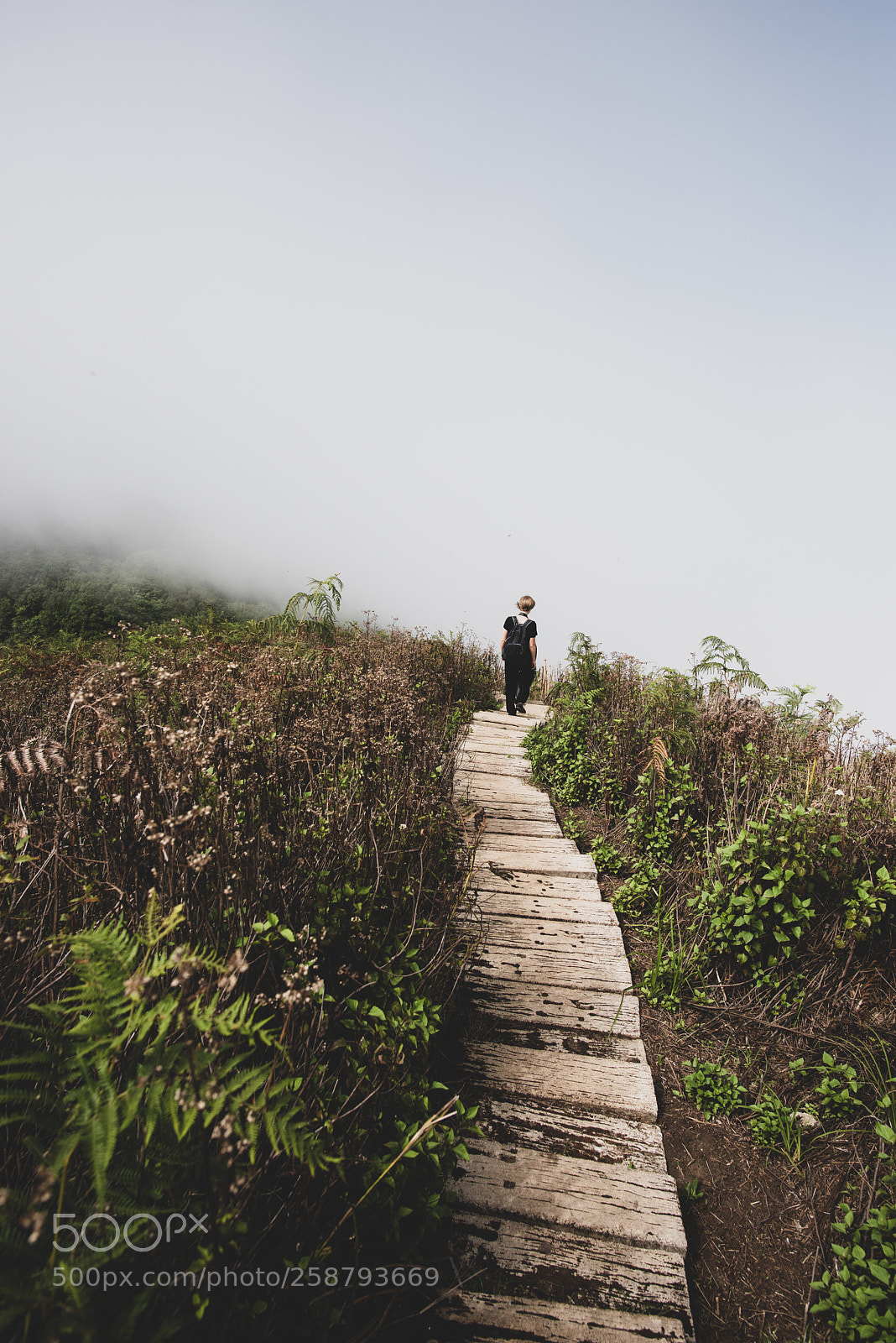 Nikon D810 sample photo. Into the unknown photography