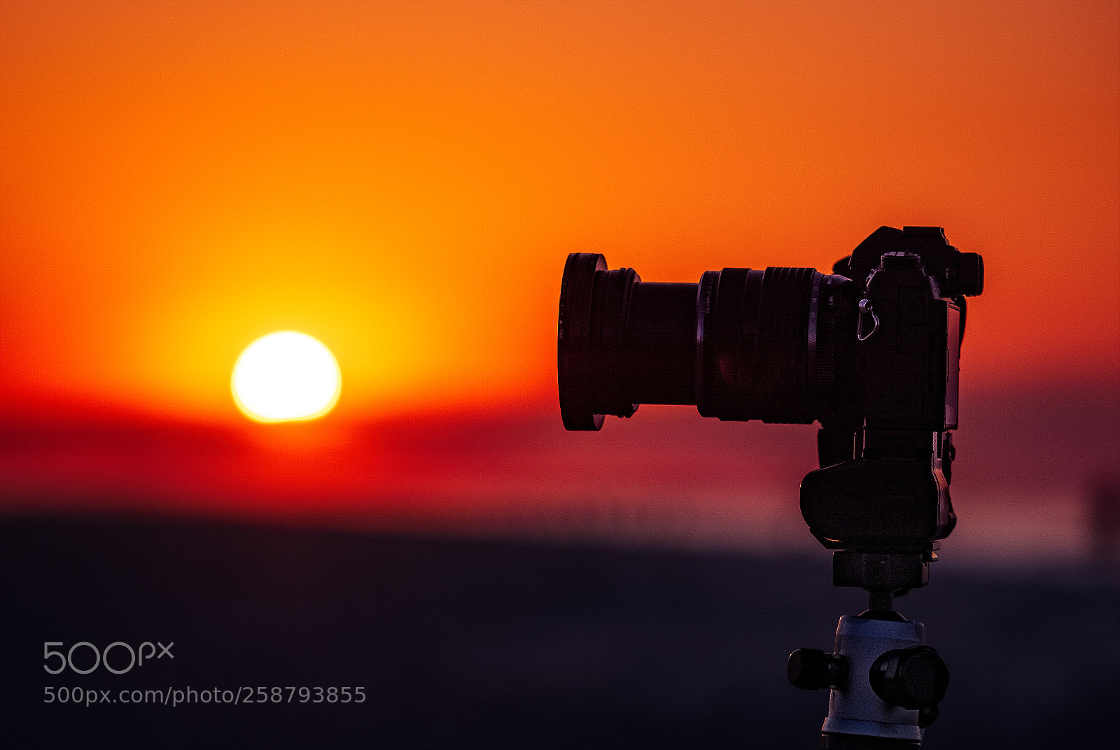 Olympus OM-D E-M1 Mark II sample photo. Sunrise cape may photography