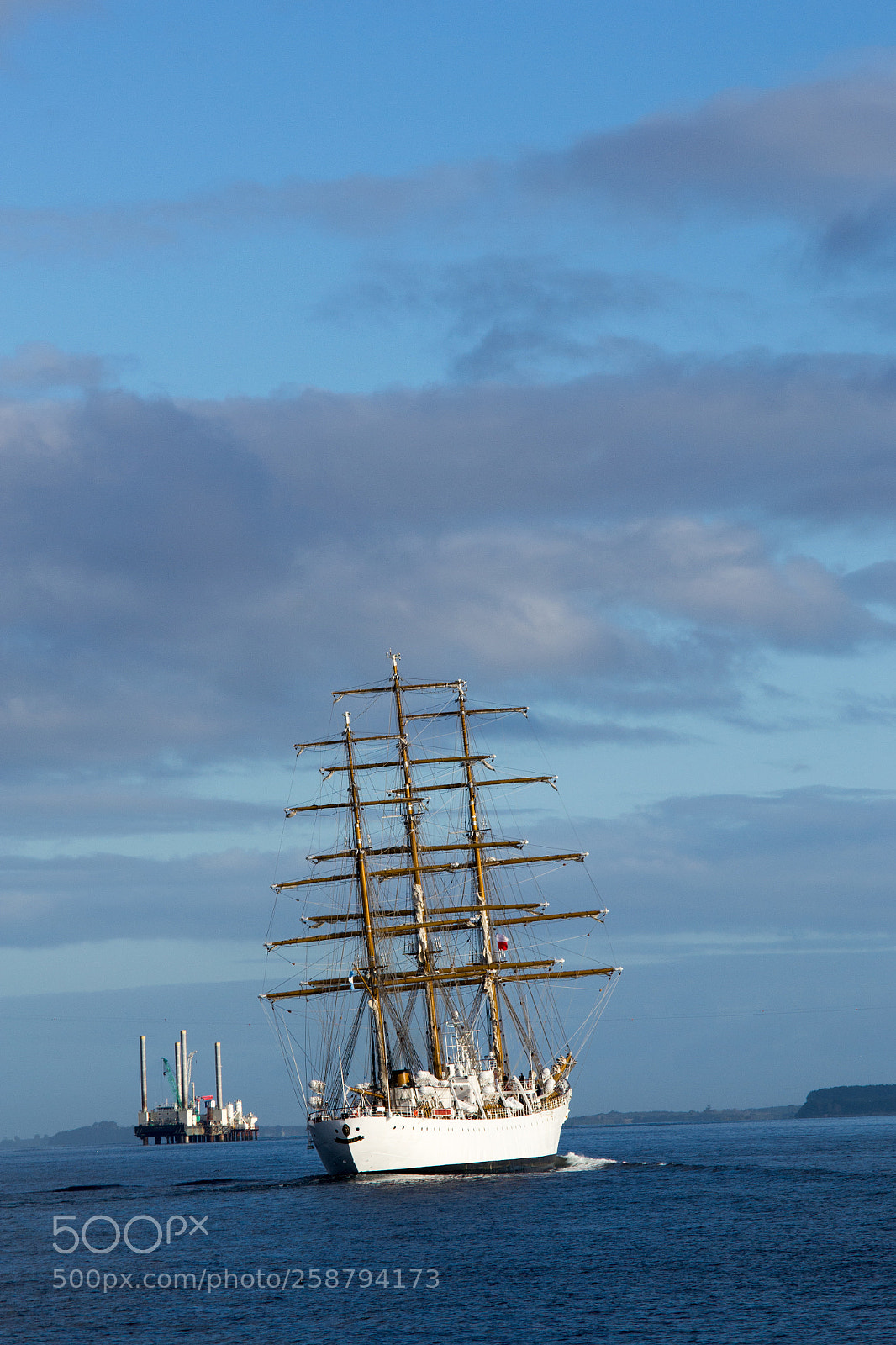 Nikon D3100 sample photo. Ara libertad crossing the photography