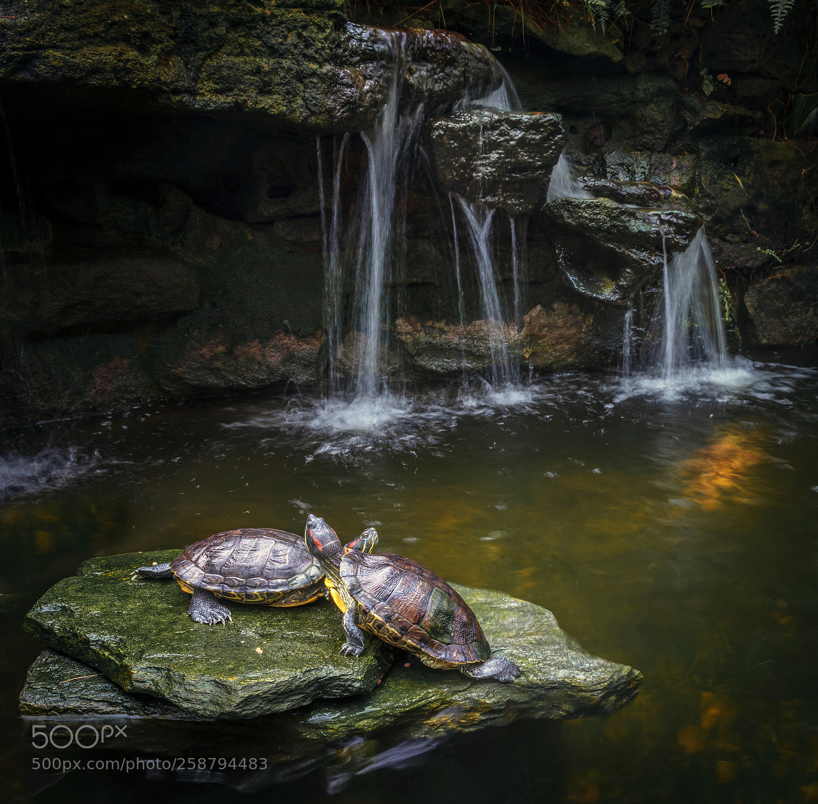 Canon EOS 5DS R sample photo. Edit edit photography