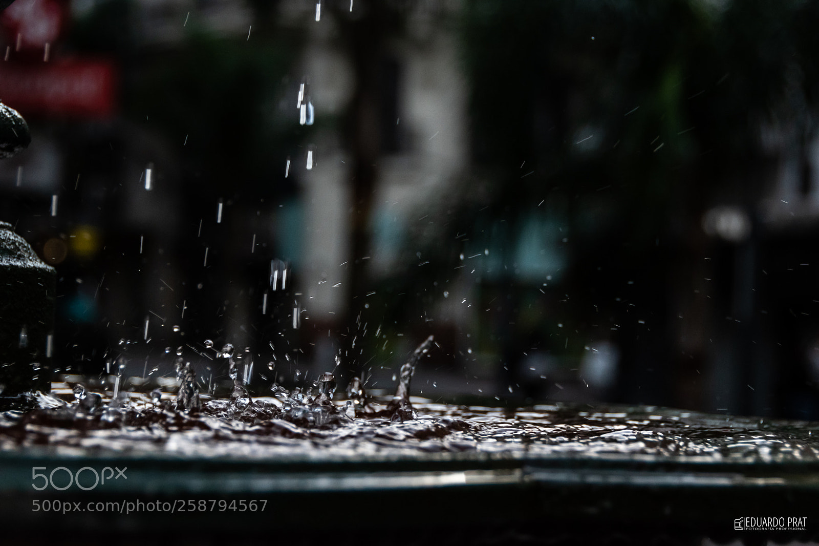 Nikon D5600 sample photo. Fuente photography