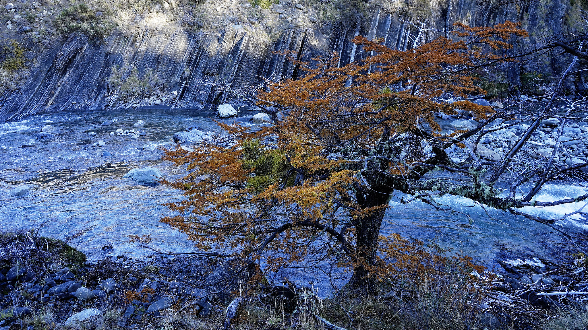 Sony Alpha a3500 sample photo